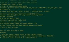 历史性突破：开发者耗时两年，成功在浏览器中原生运行Linux内核