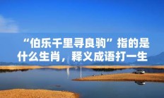 “伯乐千里寻良驹”指的是什么生肖，释义成语打一生肖落实解释!