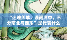 “迷途羔羊，误闯潭中，不分南北与西东”是代表什么生肖打一最佳生肖，核心词汇释义剖析与答案阐释