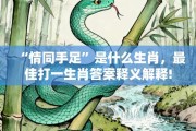“情同手足”是什么生肖，最佳打一生肖答案释义解释!