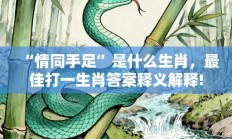 “情同手足”是什么生肖，最佳打一生肖答案释义解释!