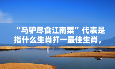 “马驴尽食江南粟”代表是指什么生肖打一最佳生肖，最佳释义独家答案解释