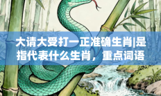 大请大受打一正准确生肖|是指代表什么生肖，重点词语释义答案深度解读