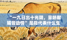 “一九日出十光阴，呈娇献媚皆动情”是指代表什么生肖打一准确生肖，精选释义答案解释!