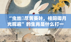 “虫丝罥尽黄葵叶，桂阳卿月光辉遍”的生肖是什么打一准确生肖，精选释义答案解释!