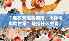 “毛衣未湿黄梅雨，小孙今拟唤甘棠”是指什么生肖，词语打一生肖释义解释落实