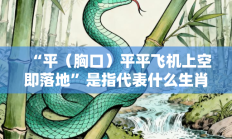“平（胸口）平平飞机上空即落地”是指代表什么生肖打一准确生肖，释义作答词语解释赏析
