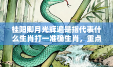 桂阳卿月光辉遍是指代表什么生肖打一准确生肖，重点词语释义答案深度解读