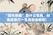 “阳光明媚”是什么生肖，标准成语打一生肖答案解析!