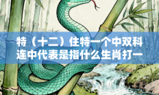 特（十二）住特一个中双科连中代表是指什么生肖打一最佳生肖，精选释义答案解释!