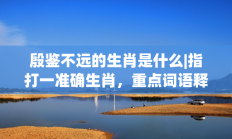 殷鉴不远的生肖是什么|指打一准确生肖，重点词语释义答案深度解读