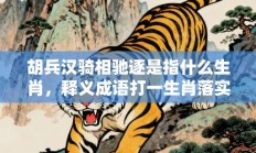 胡兵汉骑相驰逐是指什么生肖，释义成语打一生肖落实解释!