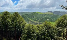 苹果扩展环保版图，在新西兰和澳大利亚启动新项目