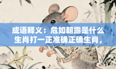 成语释义：危如朝露是什么生肖打一正准确正确生肖，核心词汇释义剖析与答案阐释