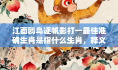 江面鸥鸟逐帆影打一最佳准确生肖是指什么生肖，释义答案解释分析