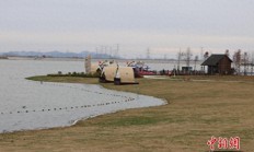 “龙湖月色”做好山水文章 枣庄滕州探索乡村振兴“聚合密码”