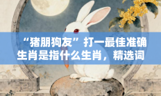 “猪朋狗友”打一最佳准确生肖是指什么生肖，精选词语释义答案深度剖析