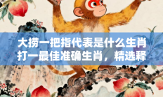 大捞一把指代表是什么生肖打一最佳准确生肖，精选释义答案解释!