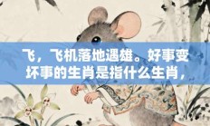 飞，飞机落地遇雄。好事变坏事的生肖是指什么生肖，释义成语打一生肖落实解释!