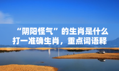 “阴阳怪气”的生肖是什么打一准确生肖，重点词语释义答案深度解读