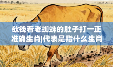 欲钱看老蜘蛛的肚子打一正准确生肖|代表是指什么生肖，最佳释义独家答案解释