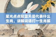 星光点点贴蓝天是代表什么生肖，讲解词语打一生肖解释释义!