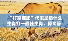 “打草惊蛇”代表是指什么生肖打一最佳生肖，释义答案解释分析