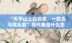 “天平山上白云泉，一四五马双头发”指代表是什么生肖打一最佳准确生肖，最佳释义独家答案解释