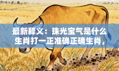 最新释义：珠光宝气是什么生肖打一正准确正确生肖，落实词语含义阐述答解