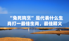 “兔死狗烹”是代表什么生肖打一最佳生肖，最佳释义独家答案解释