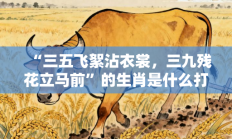 “三五飞絮沾衣裳，三九残花立马前”的生肖是什么打一准确生肖，核心词汇释义剖析与答案阐释