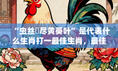 “虫丝罥尽黄葵叶”是代表什么生肖打一最佳生肖，最佳释义独家答案解释