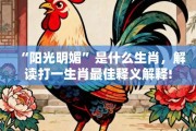 “阳光明媚”是什么生肖，解读打一生肖最佳释义解释!