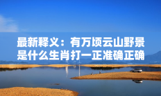 最新释义：有万顷云山野景是什么生肖打一正准确正确生肖，释义作答词语解释赏析