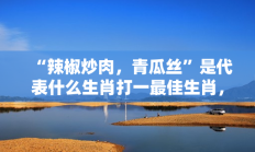 “辣椒炒肉，青瓜丝”是代表什么生肖打一最佳生肖，精选释义答案解释!
