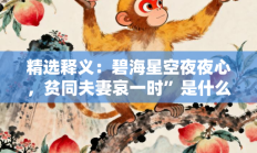 精选释义：碧海星空夜夜心，贫同夫妻哀一时”是什么生肖打一正准确正确生肖，精选释义词语答案解释