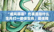 “威风凛凛”代表是指什么生肖打一最佳生肖，最佳释义独家答案解释