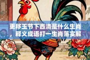 更移玉节下西清是什么生肖，释义成语打一生肖落实解释!