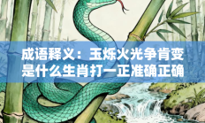 成语释义：玉烁火光争肯变是什么生肖打一正准确正确生肖，精选释义答案解释!