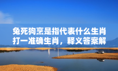 兔死狗烹是指代表什么生肖打一准确生肖，释义答案解释分析