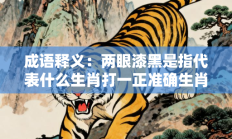 成语释义：两眼漆黑是指代表什么生肖打一正准确生肖，释义答案解释分析