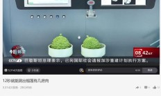 挑榴莲不用“开盲盒”，新机器 12 秒就能测出有几房肉