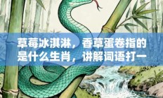 草莓冰淇淋，香草蛋卷指的是什么生肖，讲解词语打一生肖解释释义!