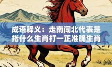 成语释义：走南闯北代表是指什么生肖打一正准确生肖，精选释义词语答案解释