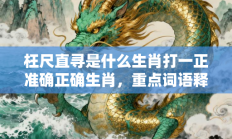 枉尺直寻是什么生肖打一正准确正确生肖，重点词语释义答案深度解读