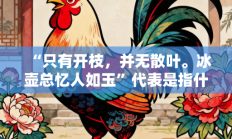 “只有开枝，并无散叶。冰壶总忆人如玉”代表是指什么生肖打一最佳生肖，精粹词汇答案注解与探析