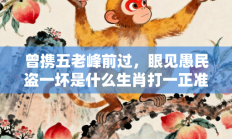 曾携五老峰前过，眼见愚民盗一坏是什么生肖打一正准确正确生肖，精选释义答案解释!