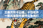 三春月照千山道，十日花开一夜风是指代表什么生肖打一正准确生肖，释义作答词语解释赏析