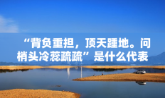 “背负重担，顶天踵地。问梢头冷蕊疏疏”是什么代表指打一准确生肖，核心词汇释义剖析与答案阐释