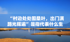 “村边处处围桑叶，出门满路光辉遍”是指代表什么生肖打一准确生肖，释义答案解释分析